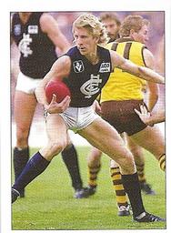 1990 Select AFL Stickers #254 David Rhys-Jones Front